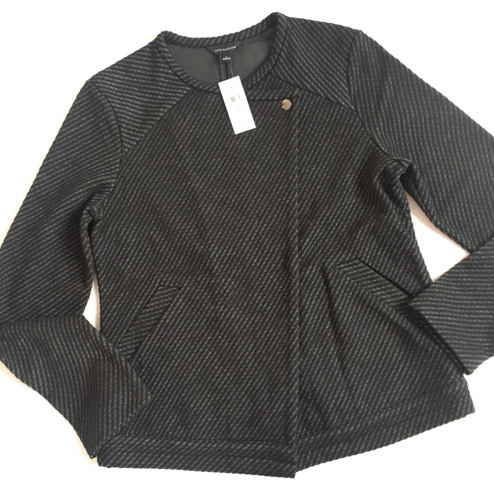 Ann Taylor Textured Moto Jacket BNWT